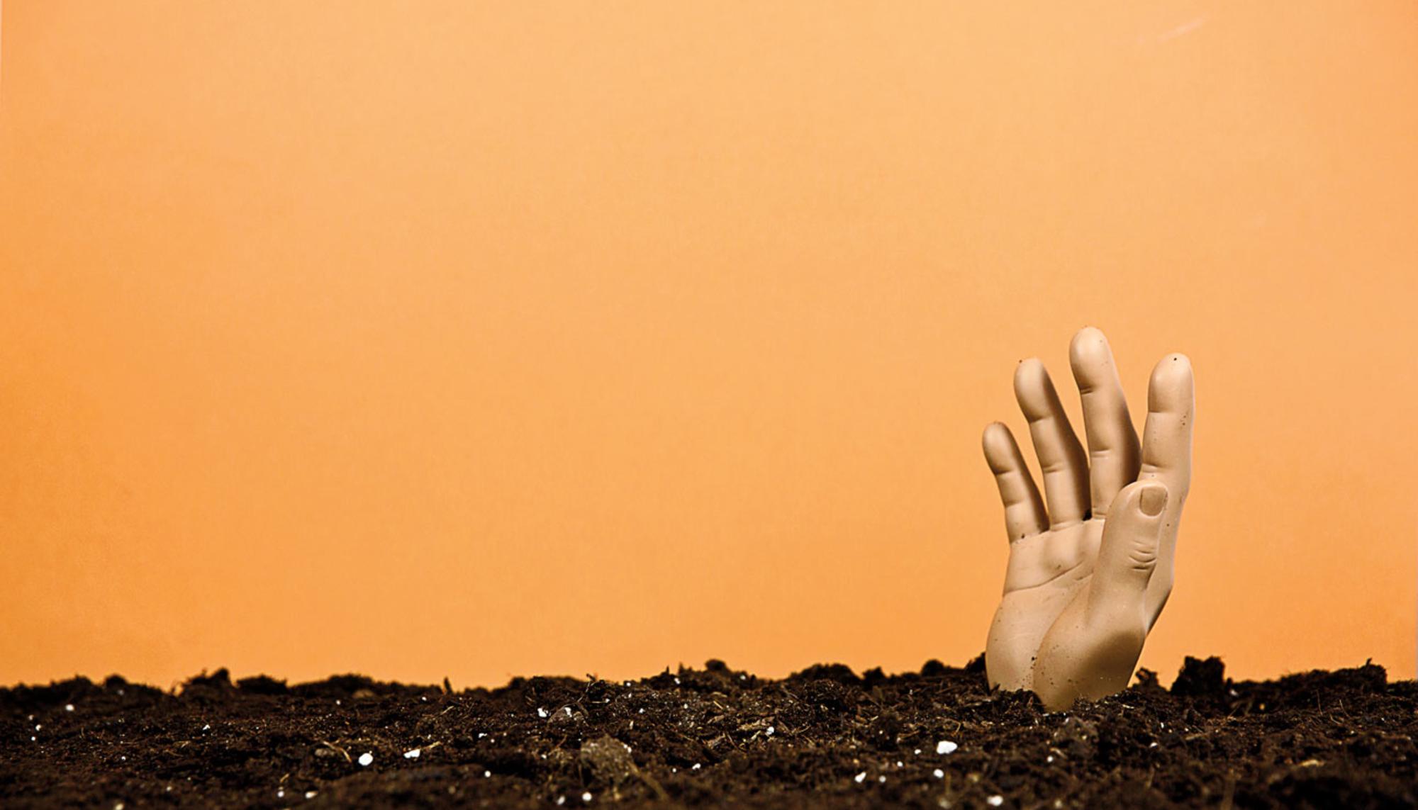 manos panorama 15 explotación campo